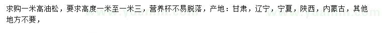 求購高1米油松