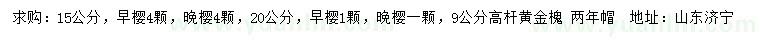 求購早櫻、晚櫻、高桿黃金槐