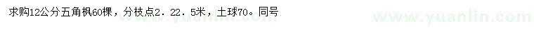 求購12公分五角楓