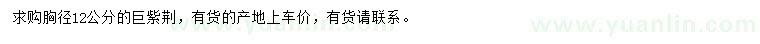 求購胸徑12公分巨紫荊