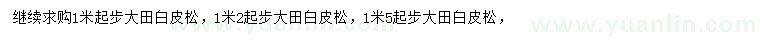 求購1、1.2米起步白皮松