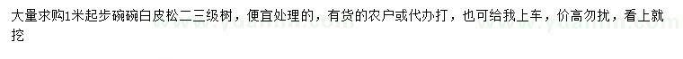 求購1米起步白皮松