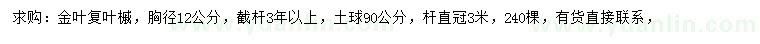 求購胸徑12公分金葉復(fù)葉槭