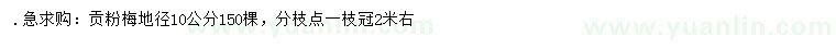 求購地徑10公分貢粉梅