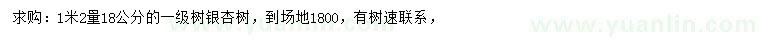 求購1.2米量18公分銀杏