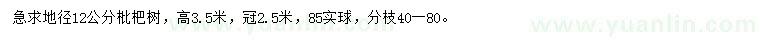 求購(gòu)地徑12公分枇杷樹