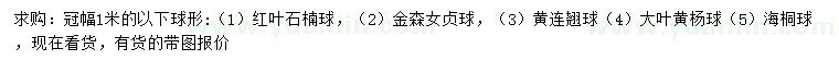 求購紅葉石楠球、金森女貞球、黃連翹球等
