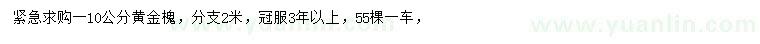 求購10公分黃金槐