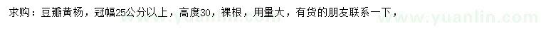 求購冠幅25公分以上豆瓣黃楊