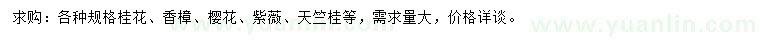 求購(gòu)桂花、香樟、櫻花等