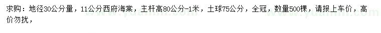 求購30公分量11公分西府海棠