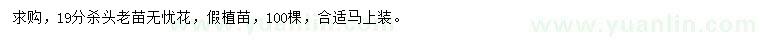 求購(gòu)19公分無(wú)憂花
