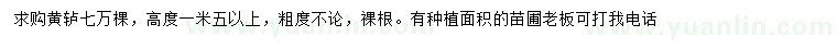求購(gòu)高1.5米以上黃櫨