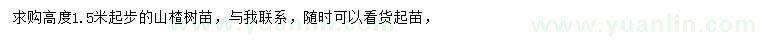 求購高1.5米起步山楂樹