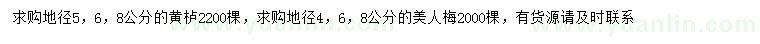 求購地徑5、6、8公分黃櫨、地徑4、6、8公分美人梅