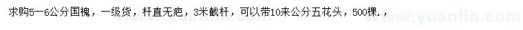 求購(gòu)5-6公分國(guó)槐