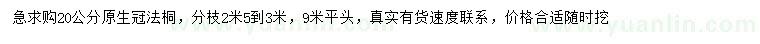 求購20公分法桐