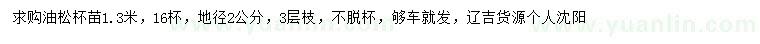 求購1.3米油松