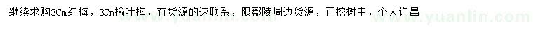 求購3公分紅梅、榆葉梅