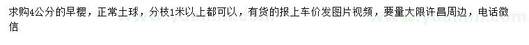 求購4公分早櫻