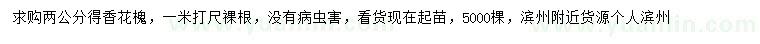 求購(gòu)2公分香花槐