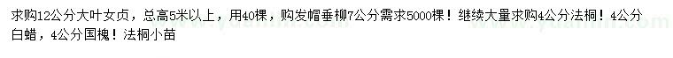 求購大葉女貞、垂柳、法桐等