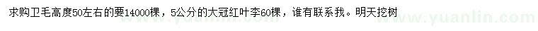 求購高50公分左右衛(wèi)矛、5公分紅葉李