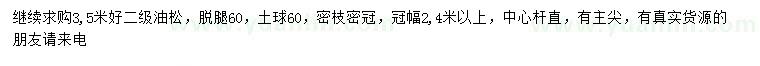 求購(gòu)3.5米油松