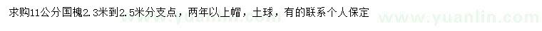 求購11公分國槐