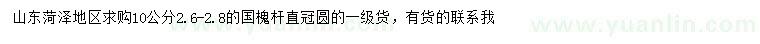 求購10公分國槐