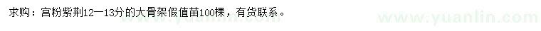 求購12-13公分宮粉紫荊