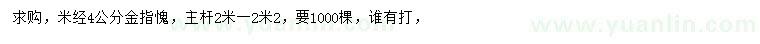求購(gòu)米徑4公分金枝槐