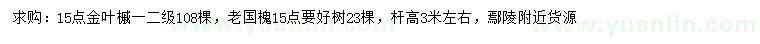 求購金葉槭、老國槐