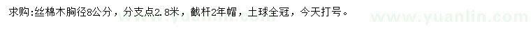 求購(gòu)胸徑8公分絲棉木