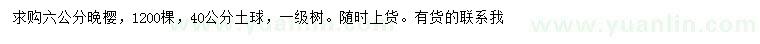 求購6公分晚櫻