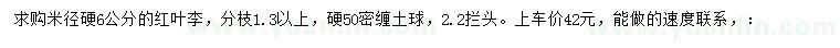 求購米徑6公分紅葉李