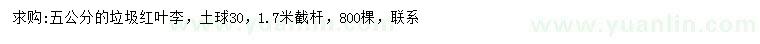 求購5公分紅葉李