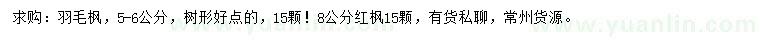 求購5-6公分羽毛楓