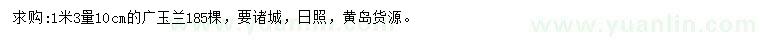 求購1.3米量10公分廣玉蘭