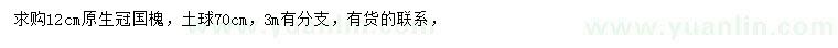 求購12公分國槐