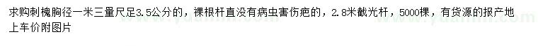求購胸徑13米量足3.5公分刺槐
