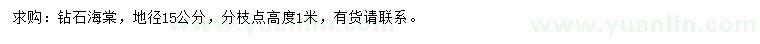 求購地徑15公分鉆石海棠
