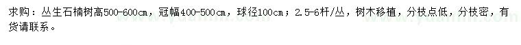 求購高500-600公分叢生石楠