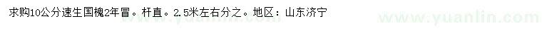求購10公分速生國槐