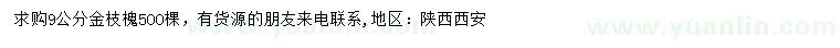 求購9公分金枝槐