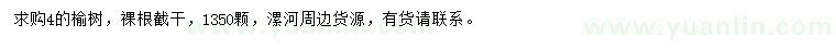 求購榆樹