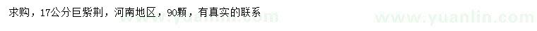 求購(gòu)17公分巨紫荊