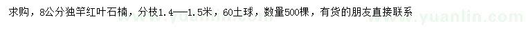 求購8公分紅葉石楠