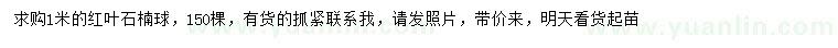 求購1米紅葉石楠球