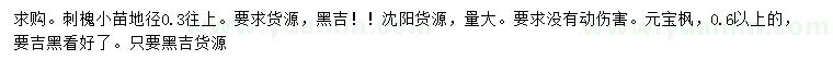 求購地徑0.3公分以上刺槐小苗、0.6公分以上元寶楓